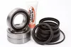 Pivot Works Rear Wheel Bearing Kit