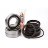 Pivot Works Rear Wheel Bearing Kit