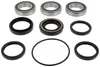 Pivot Works Rear Wheel Bearing Kit