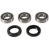 Pivot Works Rear Wheel Bearings Kit