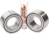Pivot Works Rear Wheel Bearing Kit