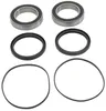 Pivot Works Rear Wheel Bearing Kit