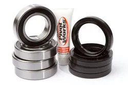 Pivot Works Rear Wheel Bearing Kit