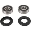 Pivot Works Rear Wheel Bearings Kit