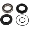 Pivot Works Rear Wheel Bearing Kit