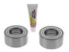 Pivot Works Rear Wheel Bearing Kit