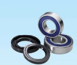 Pivot Works Rear Wheel Bearing Kit