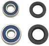 Pivot Works Rear Wheel Bearing Kit