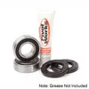 Pivot Works Rear Wheel Bearings Kit
