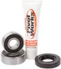Pivot Works Rear Wheel Bearings Kit