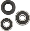 Pivot Works Rear Wheel Bearings Kit
