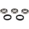 Pivot Works Rear Wheel Bearings Kit