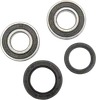 Pivot Works Rear Wheel Bearing Kit