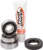 Pivot Works Rear Wheel Bearings Kit