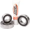 Pivot Works Rear Wheel Bearings Kit