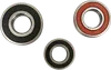 Pivot Works Rear Wheel Bearings Kit
