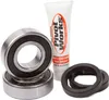 Pivot Works Rear Wheel Bearing Kit