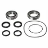 Pivot Works Rear Wheel Bearing Kit