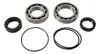 Pivot Works Rear Wheel Bearing Kit