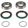 Pivot Works Rear Wheel Bearing Kit