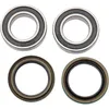 Pivot Works Rear Wheel Bearing Kit