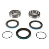 Pivot Works Rear Wheel Bearing Kit