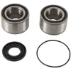 Pivot Works Rear Wheel Bearing Kit
