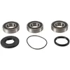 Pivot Works Rear Wheel Bearing Kit