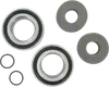 Pivot Works Rear Wheel Bearing Kit