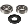 Pivot Works Rear Wheel Bearing Kit