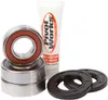 Pivot Works Rear Wheel Bearings Kit