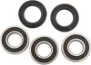 Pivot Works Rear Wheel Bearings Kit