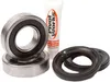 Pivot Works Rear Wheel Bearing Kit