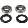 Pivot Works Rear Wheel Bearing Kit
