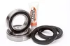Pivot Works Rear Wheel Bearing Kit