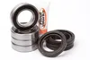 Pivot Works Rear Wheel Bearing Kit