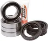 Pivot Works Rear Wheel Bearing Kit