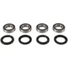 Pivot Works Rear Wheel Bearing Kit