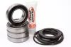 Pivot Works Rear Wheel Bearings Kit