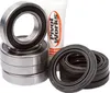Pivot Works Rear Wheel Bearing Kit