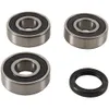 Pivot Works Rear Wheel Bearings Kit