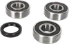Pivot Works Rear Wheel Bearings Kit