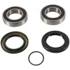 Pivot Works Rear Wheel Bearing Kit