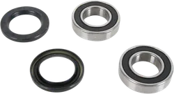 Pivot Works Rear Wheel Bearings Kit