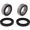 Pivot Works Rear Wheel Bearings Kit