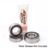 Pivot Works Rear Wheel Bearings Kit