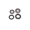 Pivot Works Rear Wheel Bearing Kit