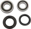 Pivot Works Rear Wheel Bearings Kit