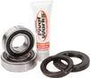 Pivot Works Rear Wheel Bearings Kit