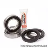 Pivot Works Rear Wheel Bearing Kit